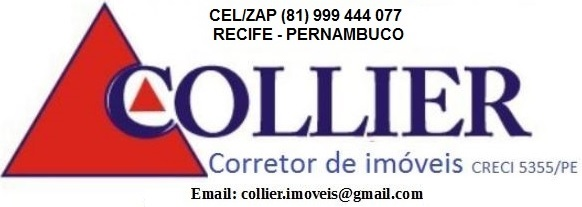 Luiz Collier